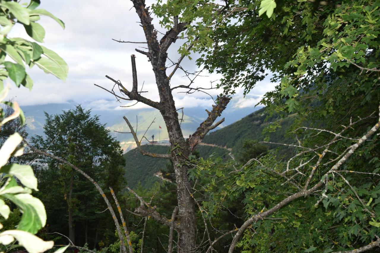 Mars Otel Artvin Exteriör bild