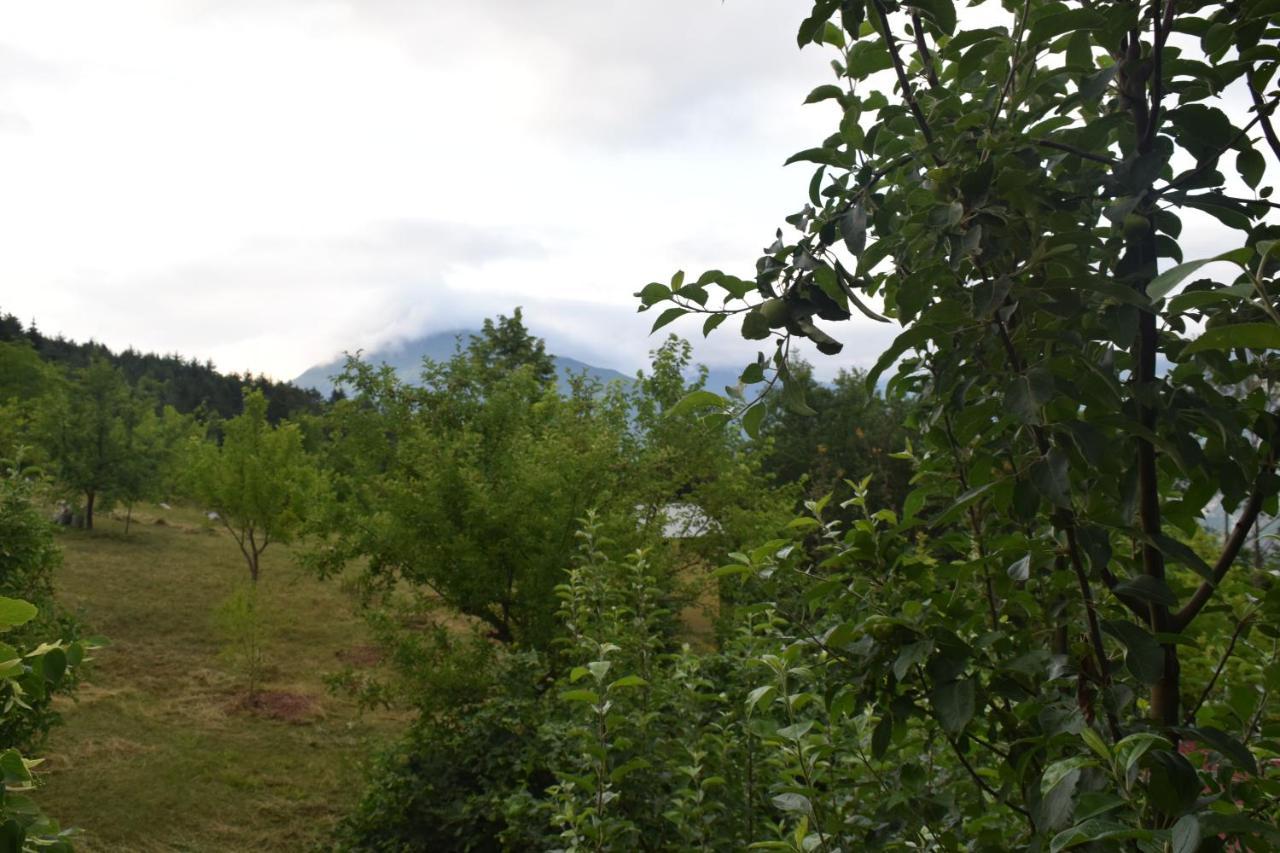 Mars Otel Artvin Exteriör bild