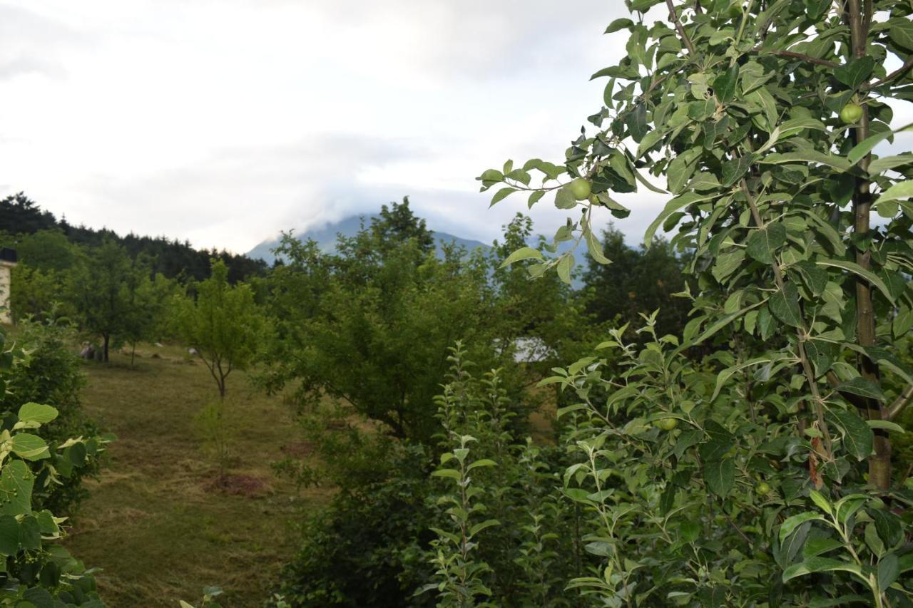 Mars Otel Artvin Exteriör bild