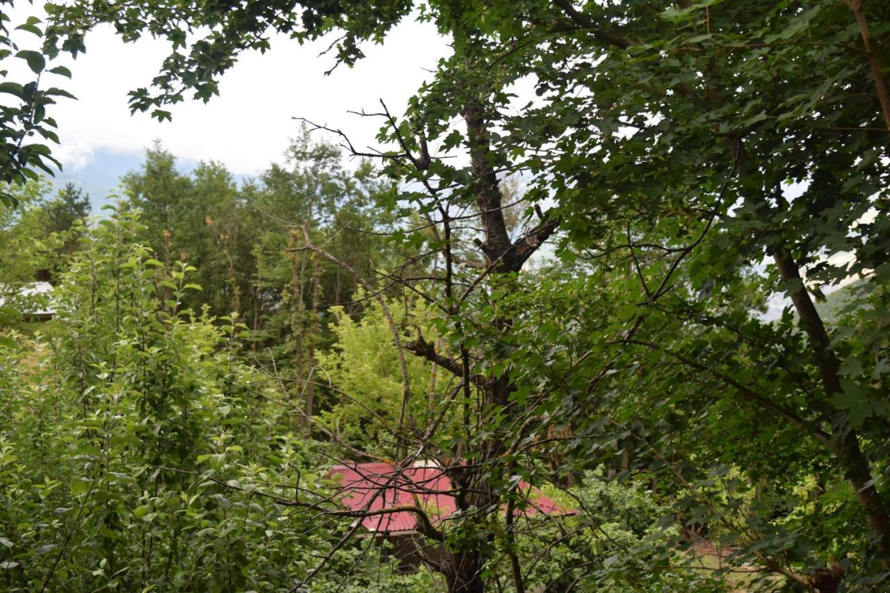 Mars Otel Artvin Exteriör bild