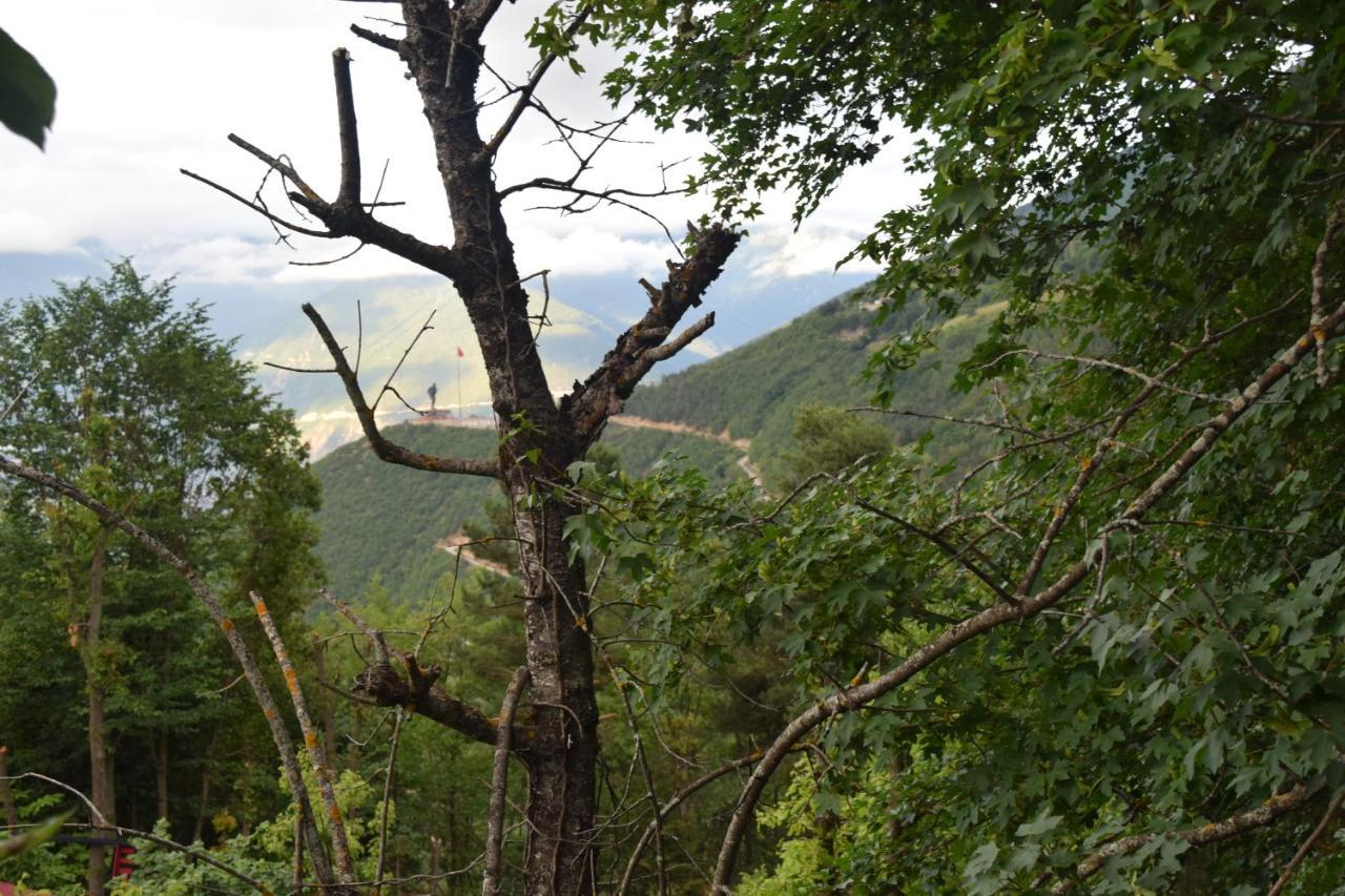 Mars Otel Artvin Exteriör bild