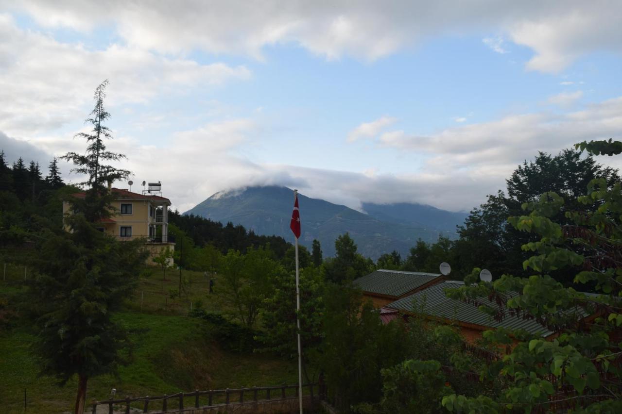 Mars Otel Artvin Exteriör bild
