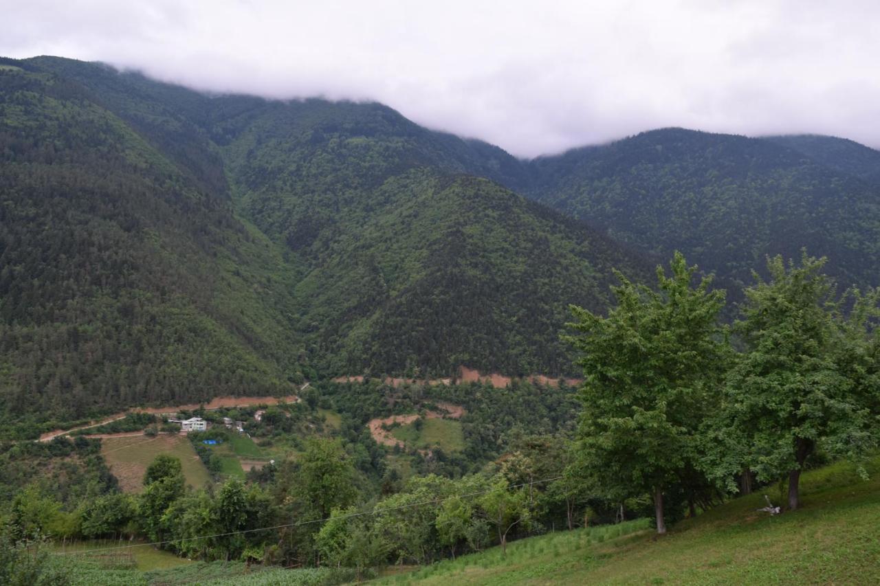 Mars Otel Artvin Exteriör bild