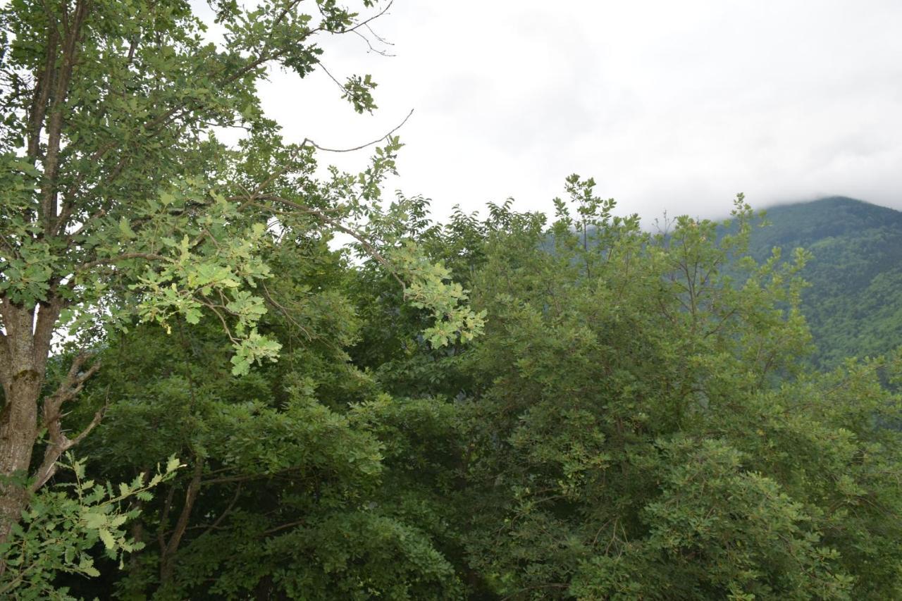 Mars Otel Artvin Exteriör bild