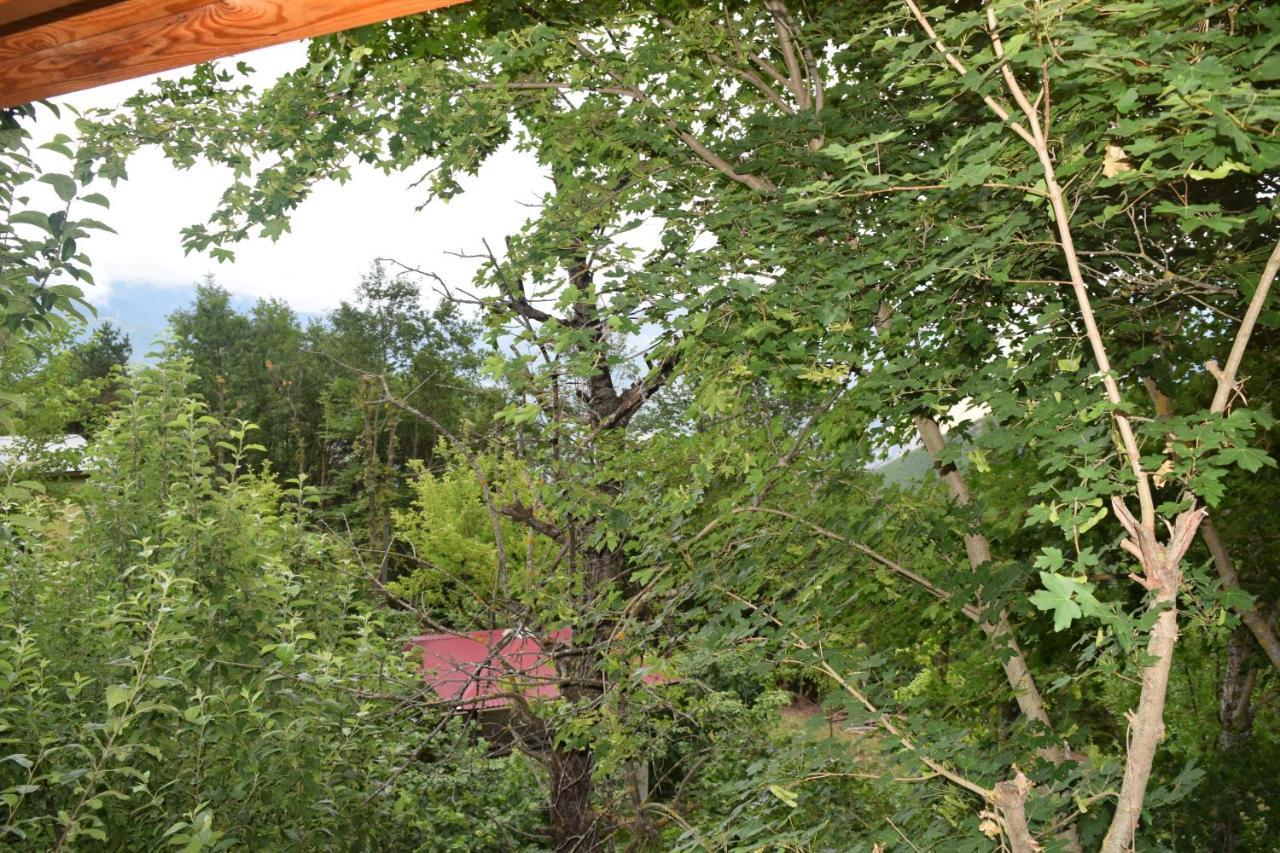 Mars Otel Artvin Exteriör bild